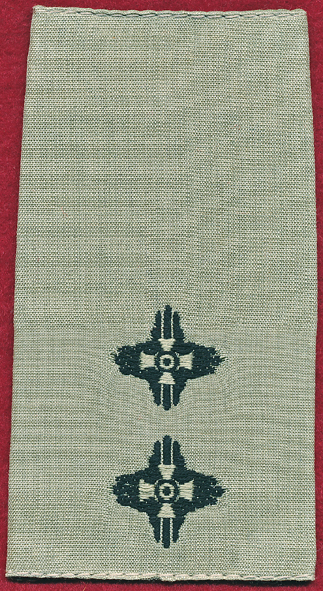 Grammar: When to Use Do, Does, and Did visual data 4